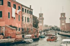 威尼斯-翱翔的大鲨鱼