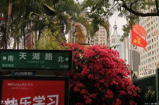 厦门将建成一所“高起点”附属小学及幼儿园