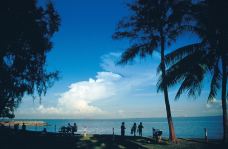 巴拉湾海滩-新加坡-M33****3005