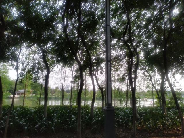 华阳湖国家湿地公园旅行图片 5