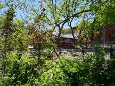 泰山风景区-泰安-朝霞浮萍