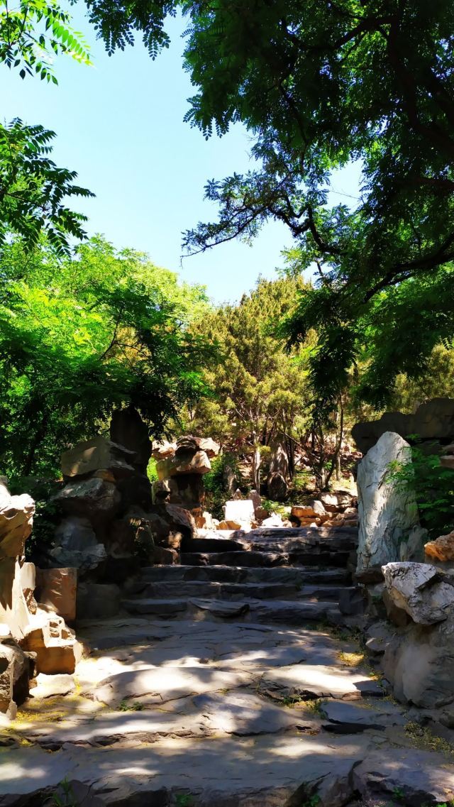 北京东单公园游玩攻略简介,北京东单公园门票/地址/图片/开放时间/照片/门票价格【携程攻略】