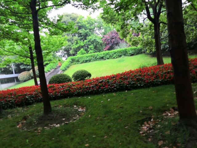 花博会主题公园旅行图片 1