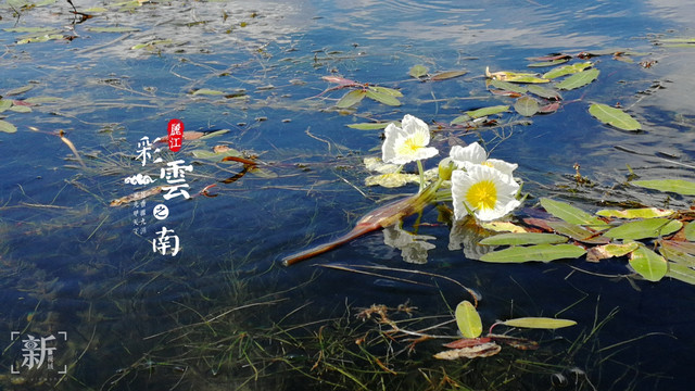 彩云之南——梦幻丽江行