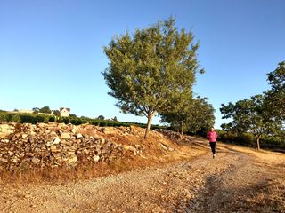 勃艮第,酒精过敏,却也精彩