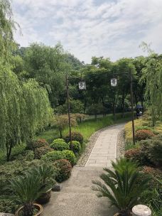 镜湖国家城市湿地公园-绍兴-陆小凤