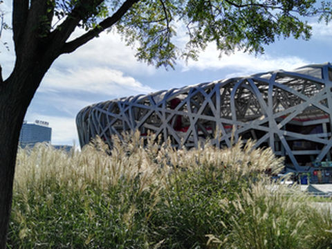 北京鸟巢所看到的-9