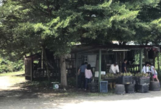 Restoran Terapung Bujang Firefly美食图片