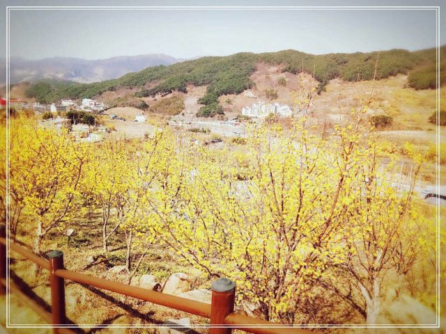 지리산국립공원