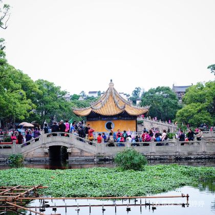 宁波+普陀山+溪口-滕头旅游景区3日2晚私家团