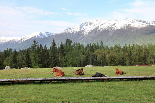 走进大西北 尽享新疆美