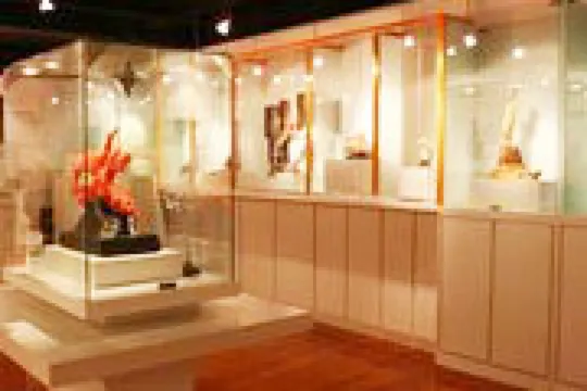 珊瑚法界博物館（預約）