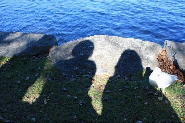 Rideau Canal