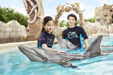 海哺栖息地-新加坡-傻桃子呦西