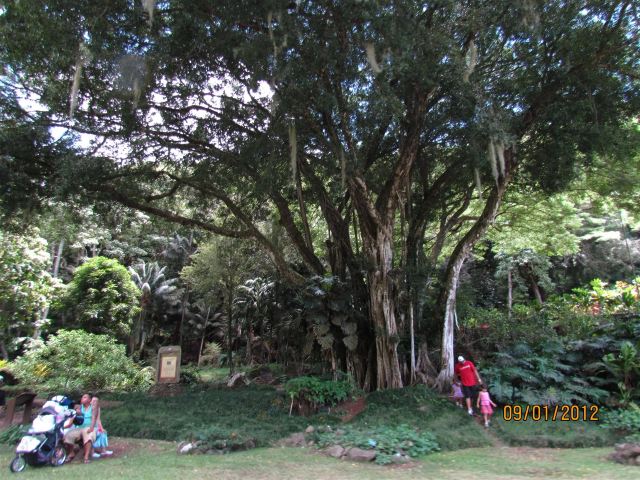 Waimea Valley