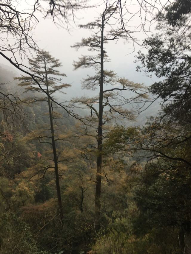 天目山景區