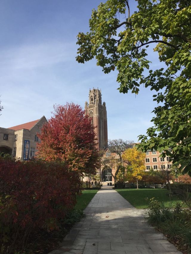 The University of Chicago