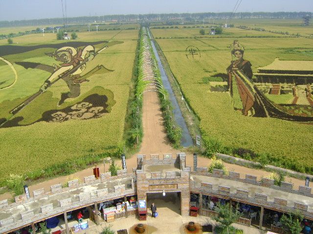 稻夢空間