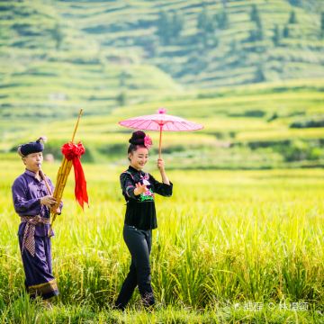 贵州贵阳+黄果树景区+荔波+西江千户苗寨+梵净山7日6晚跟团游