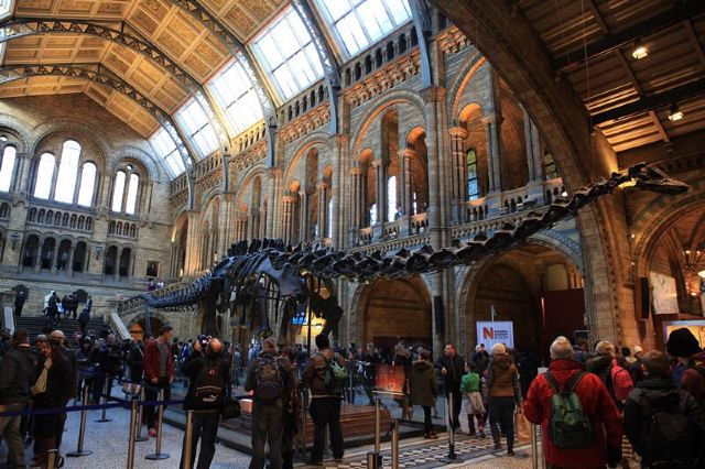 Natural History Museum