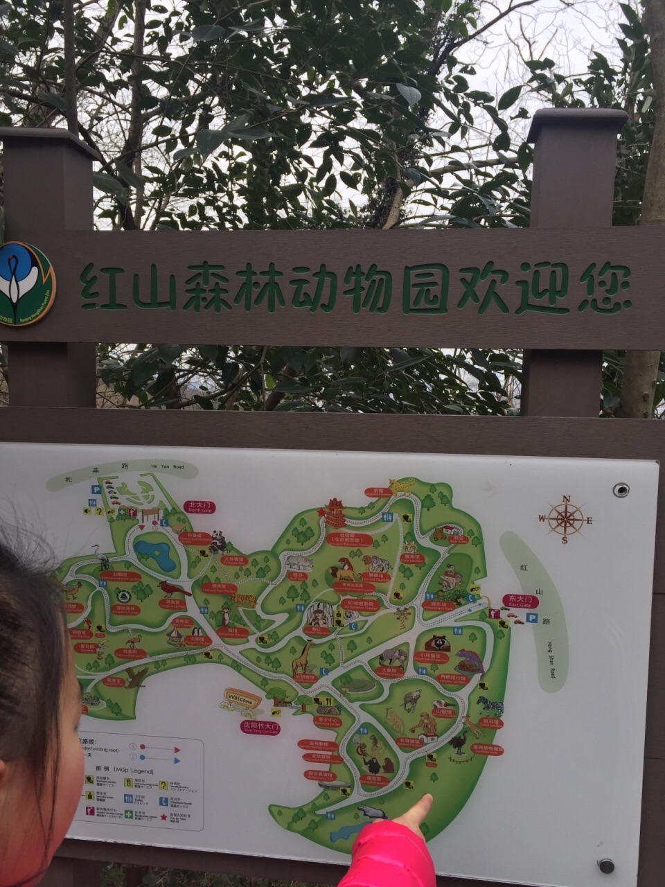 Hongshan Forest Zoo Tickets Deals Reviews Family - 