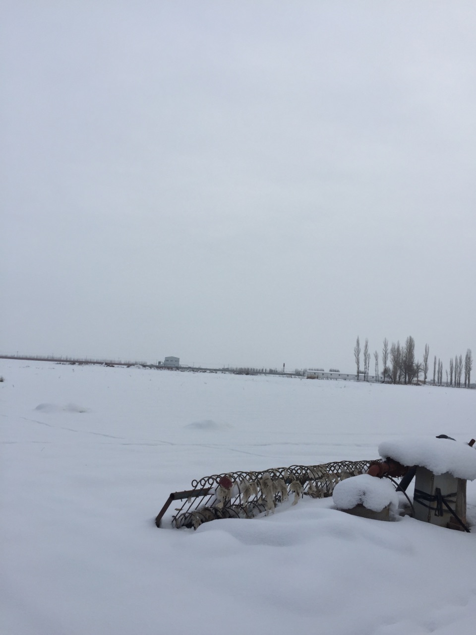 夜幕降临，新疆的雪