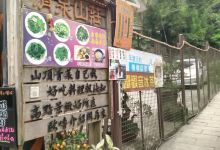 猫空清泉山庄美食图片
