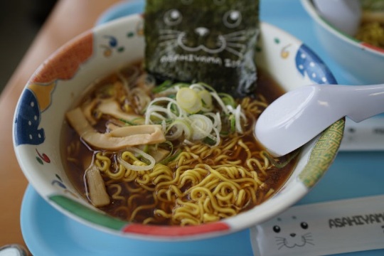 Asahiyama Zoo Seal House Fast Food