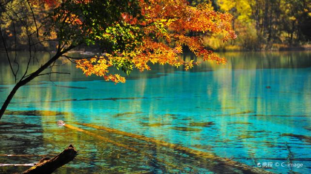 九寨沟、成都+4