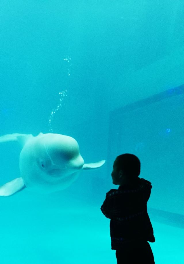 Grandview Aquarium