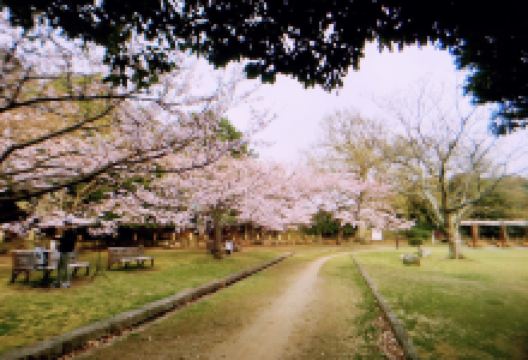 明石公园景点图片