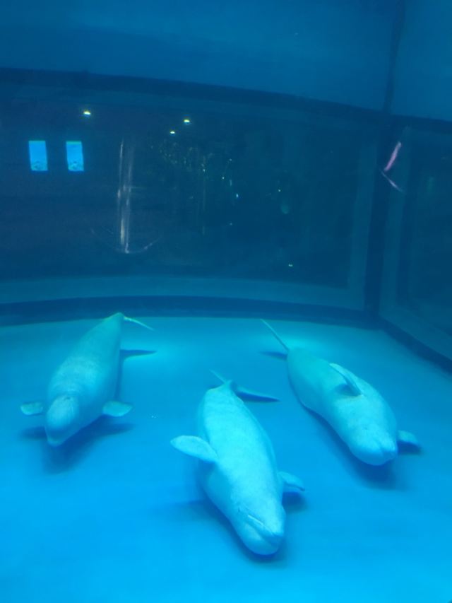 Grandview Aquarium
