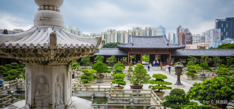 Chi Lin Nunnery Tickets Deals Reviews Family Holidays - 