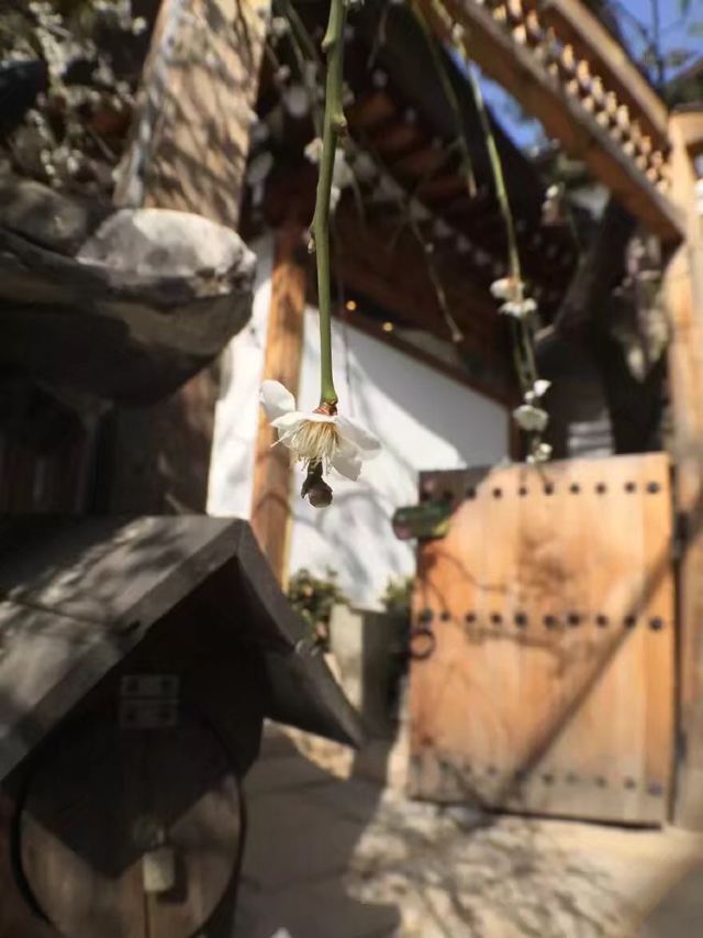 북촌 한옥마을