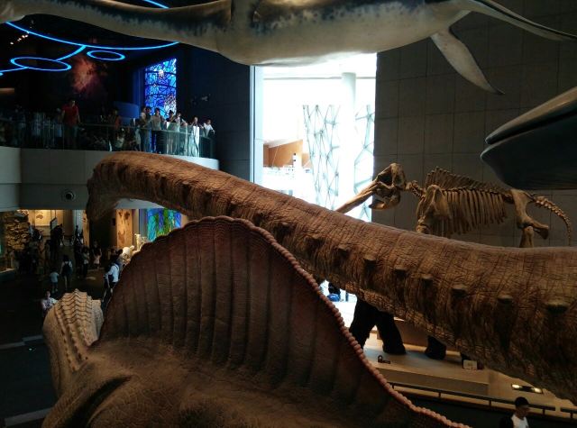 Shanghai Natural History Museum