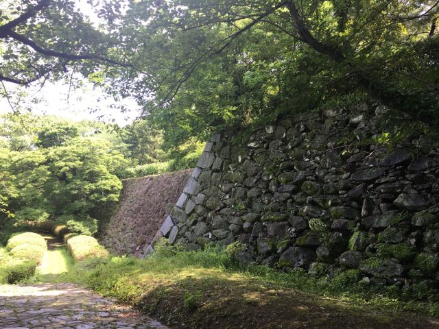 Fukuoka Castle Attractions Fukuoka Travel Review Travel Guide Trip Com