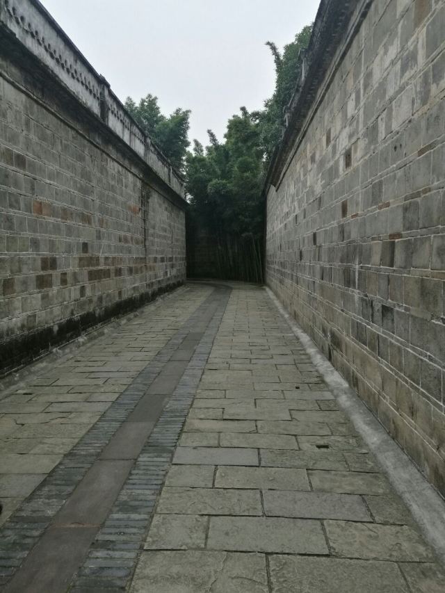 안인고진