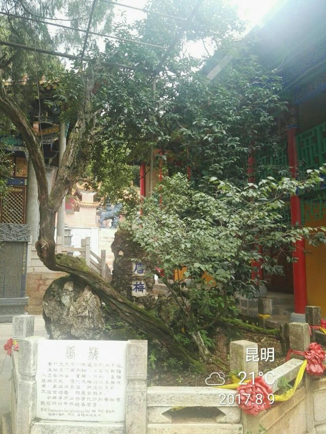 헤이룽탄 공원