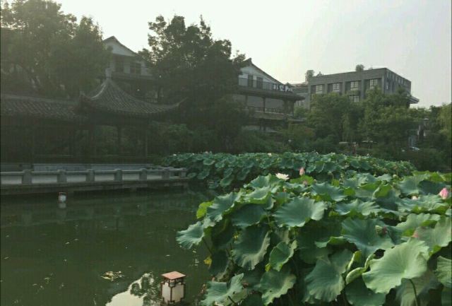 樸墅餐廳(青芝塢店)