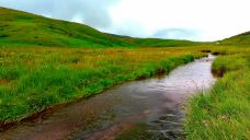 大海草山-会泽-YoYo_8F7A4K1J