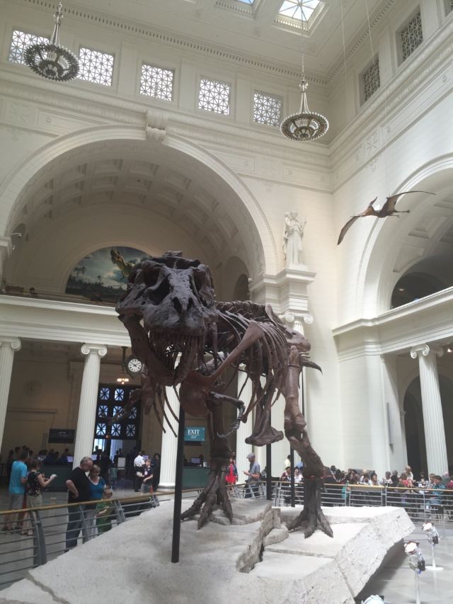 The Field Museum