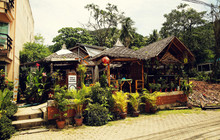 Jungle Kitchen餐厅图片
