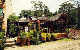 Jungle Kitchen