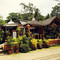 Jungle Kitchen