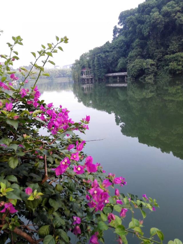 Baiyun Mountain