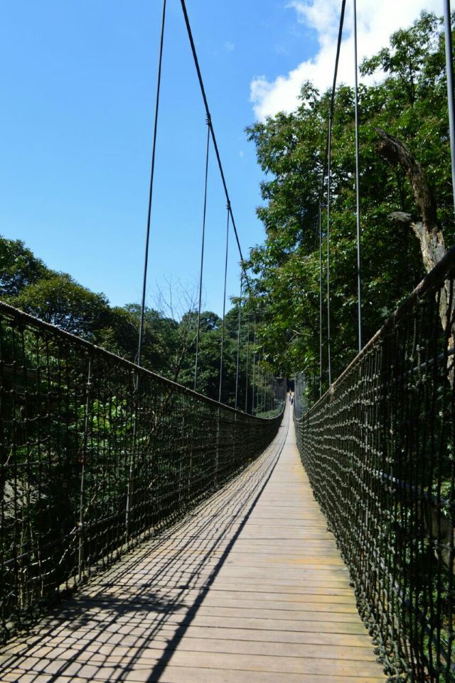 몽정산