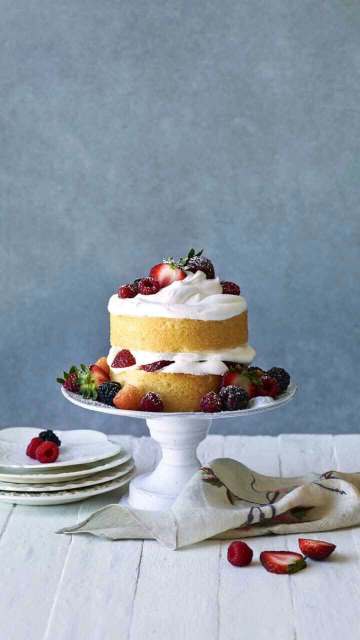 舞茶道(南康唐江店)