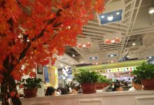阿尔卑斯比萨牛排自助(维多利店)美食图片