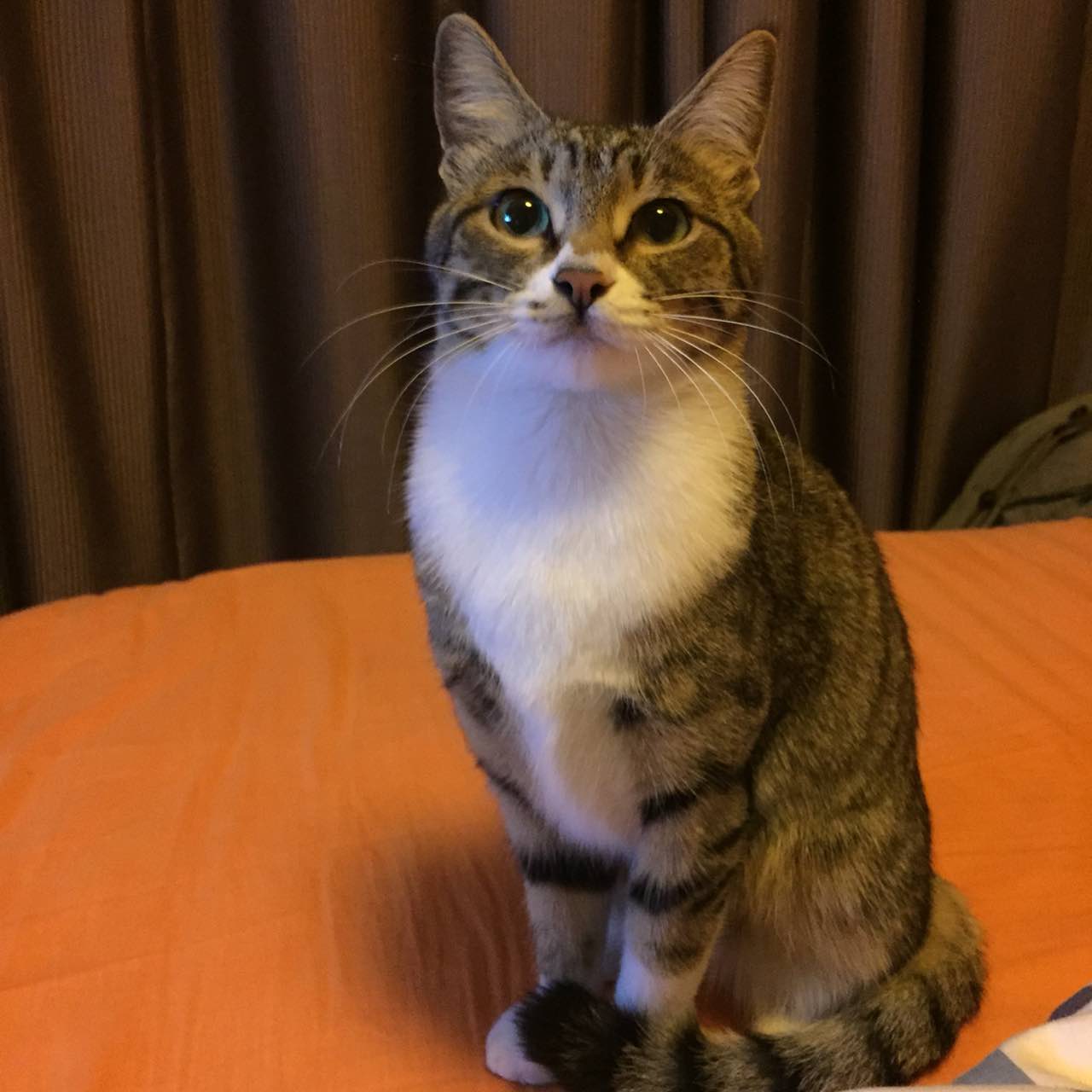 老宁波1381餐厅(洪塘店)