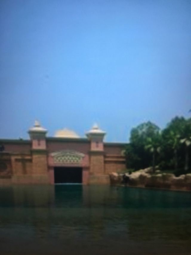 Dolphin Bay